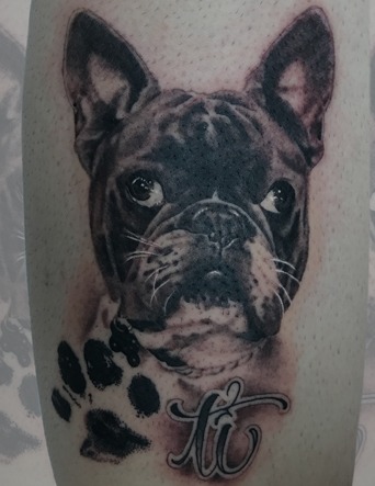 Black and Gray Boston Terrier Tattoo by Eric Jones - Chosen Art Tattoo